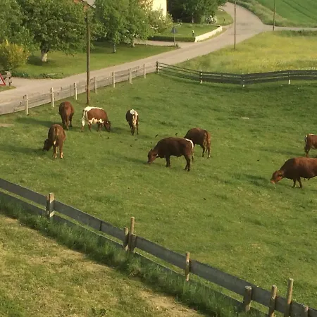 Haus Spiessl *